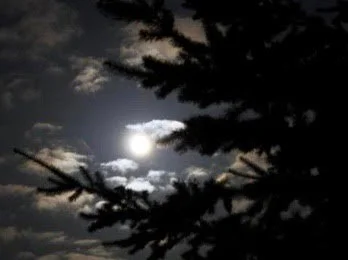 moon.jpg