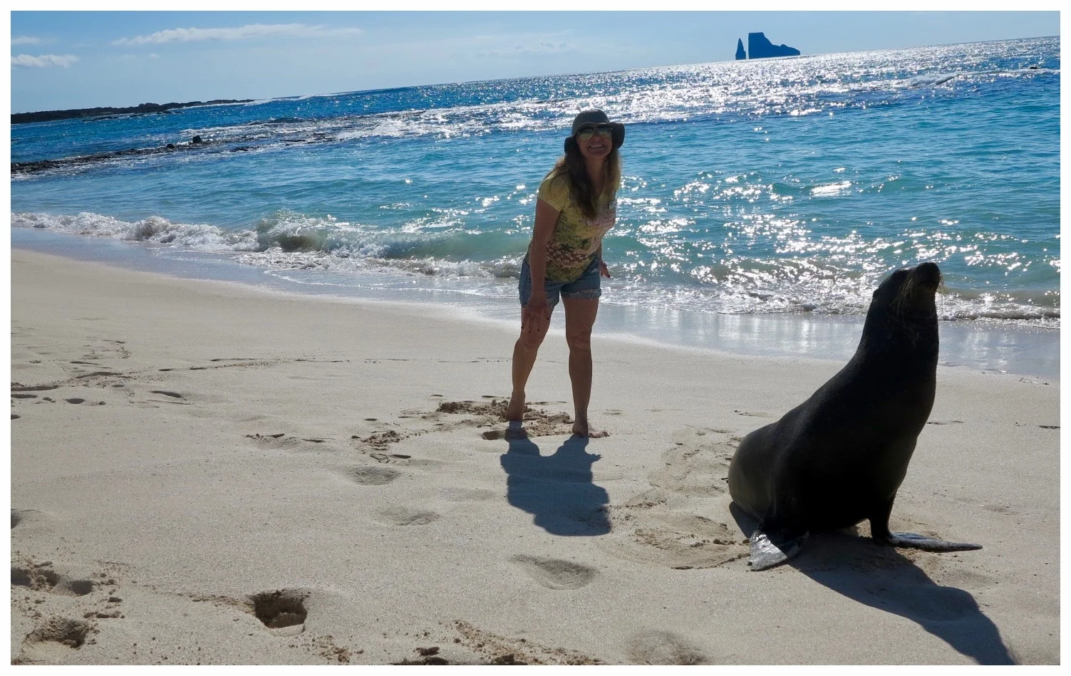 Galápagos Sea Lion and Me :-)