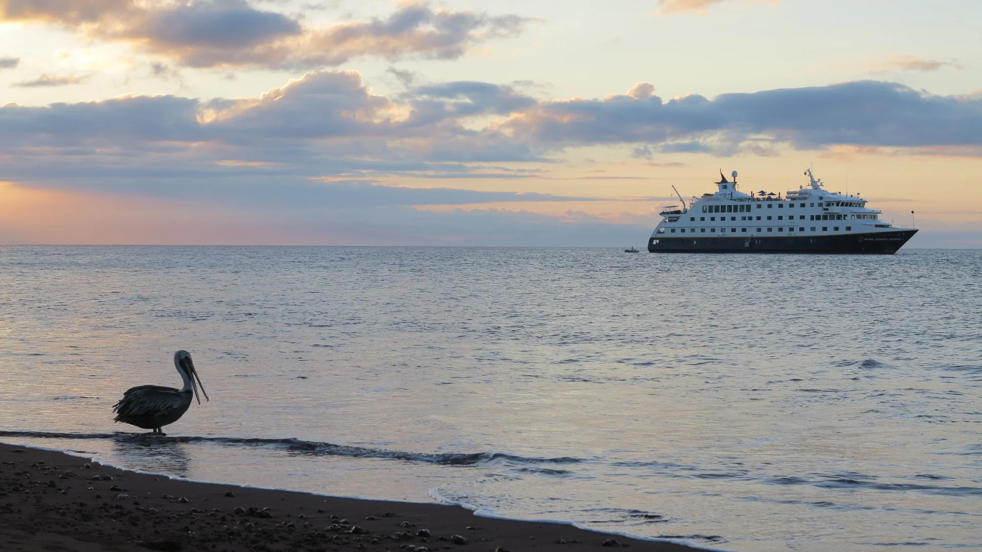 Our Home Way from Home - The Lindblad/National Geographic Endeavor II