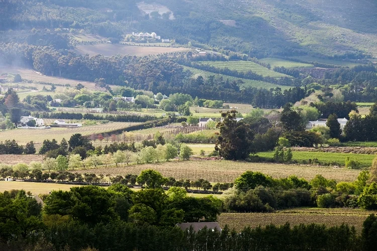 Wine blog 5.jpg