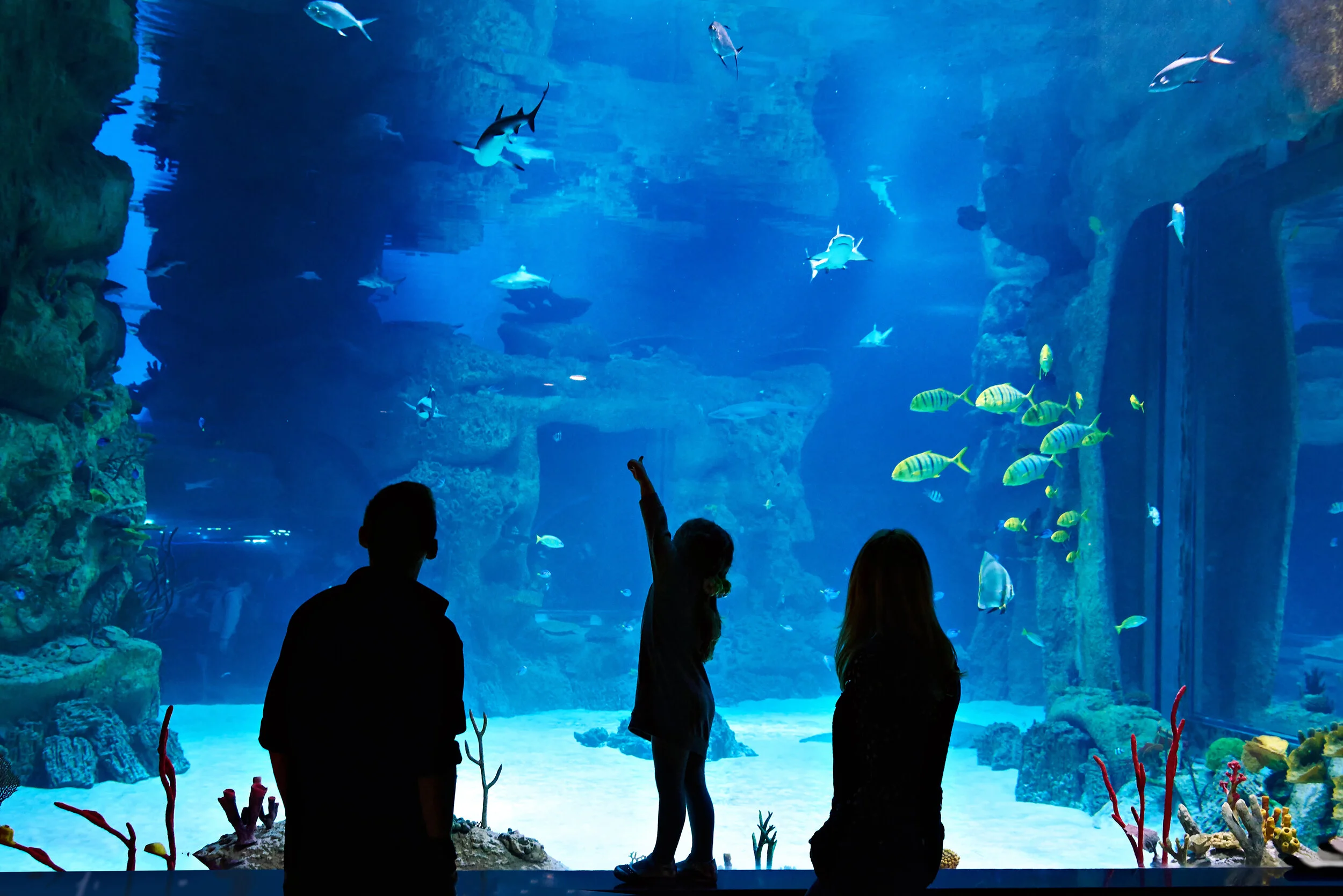 Family spring break blog 4.jpg