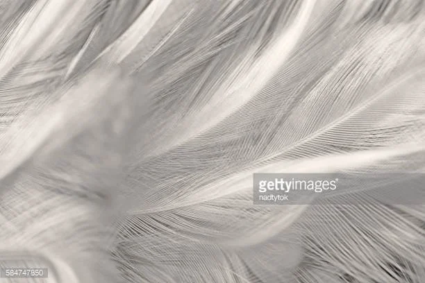 Photo by nadtytok/iStock / Getty Images