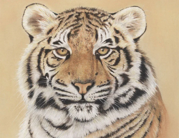 tiger.jpg