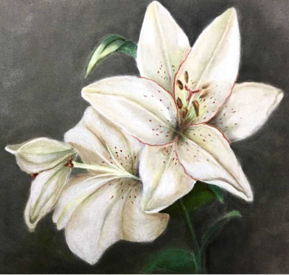 October Project of the Month - Soft Pastels