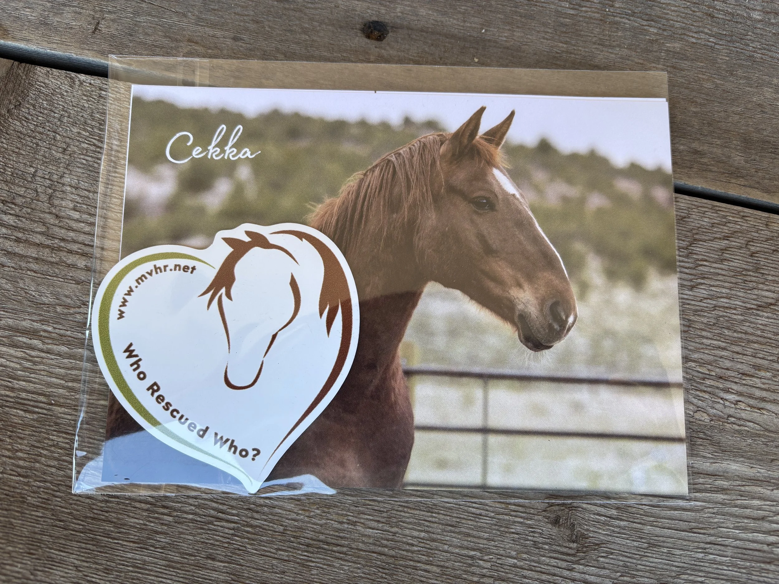 MVHR Car Magnet & 2x 20th Anniversary Postcards