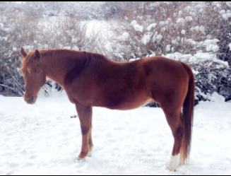 Boone - adopted Feb. 2, 2015