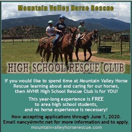 Application deadline extended to June 1! Join us for this fun year with horses!