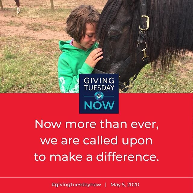 Be a part of changing a horse's life for the better.  During these challenging times, more horses need your help than ever.