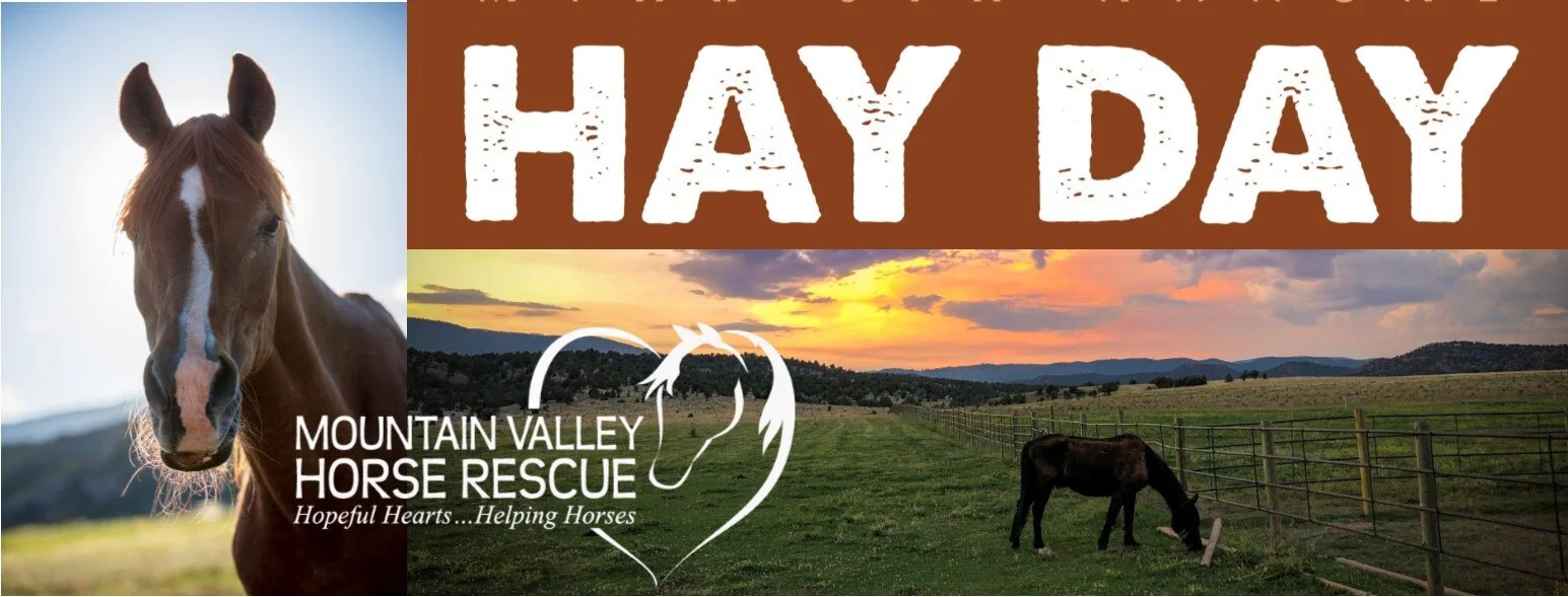 Hay Day Online Hay Day Online