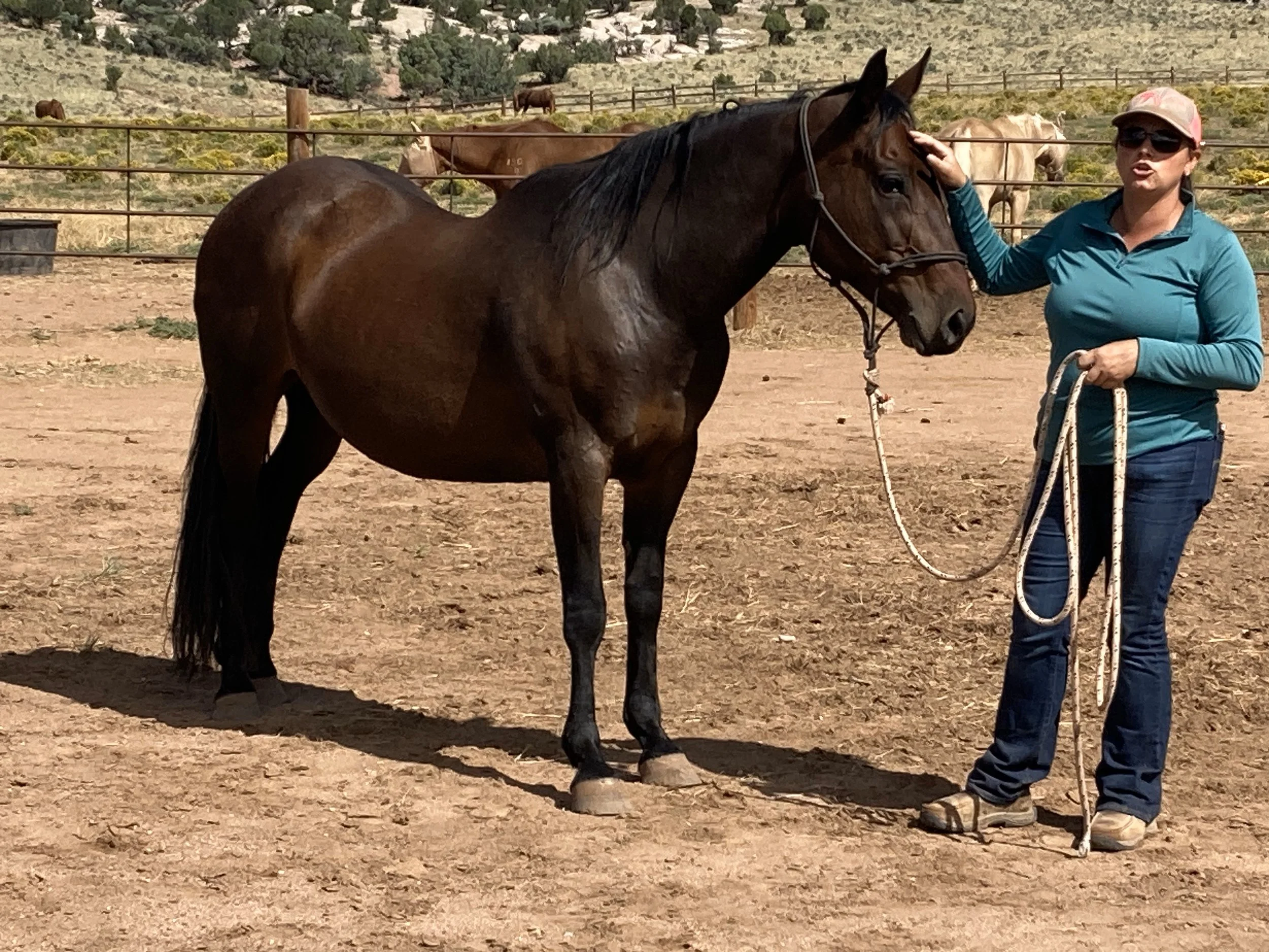 September Newsletter