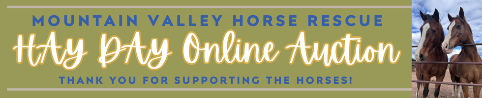 Hay Day Online Auction 2026