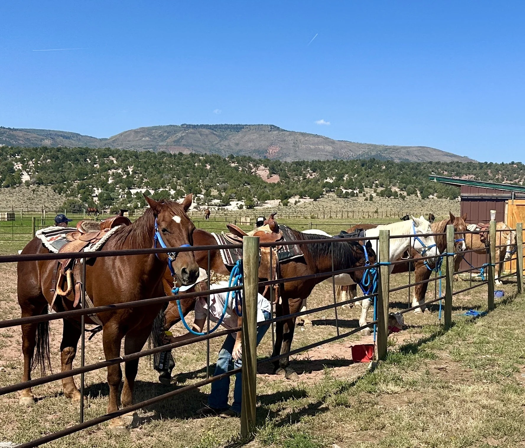 September Newsletter