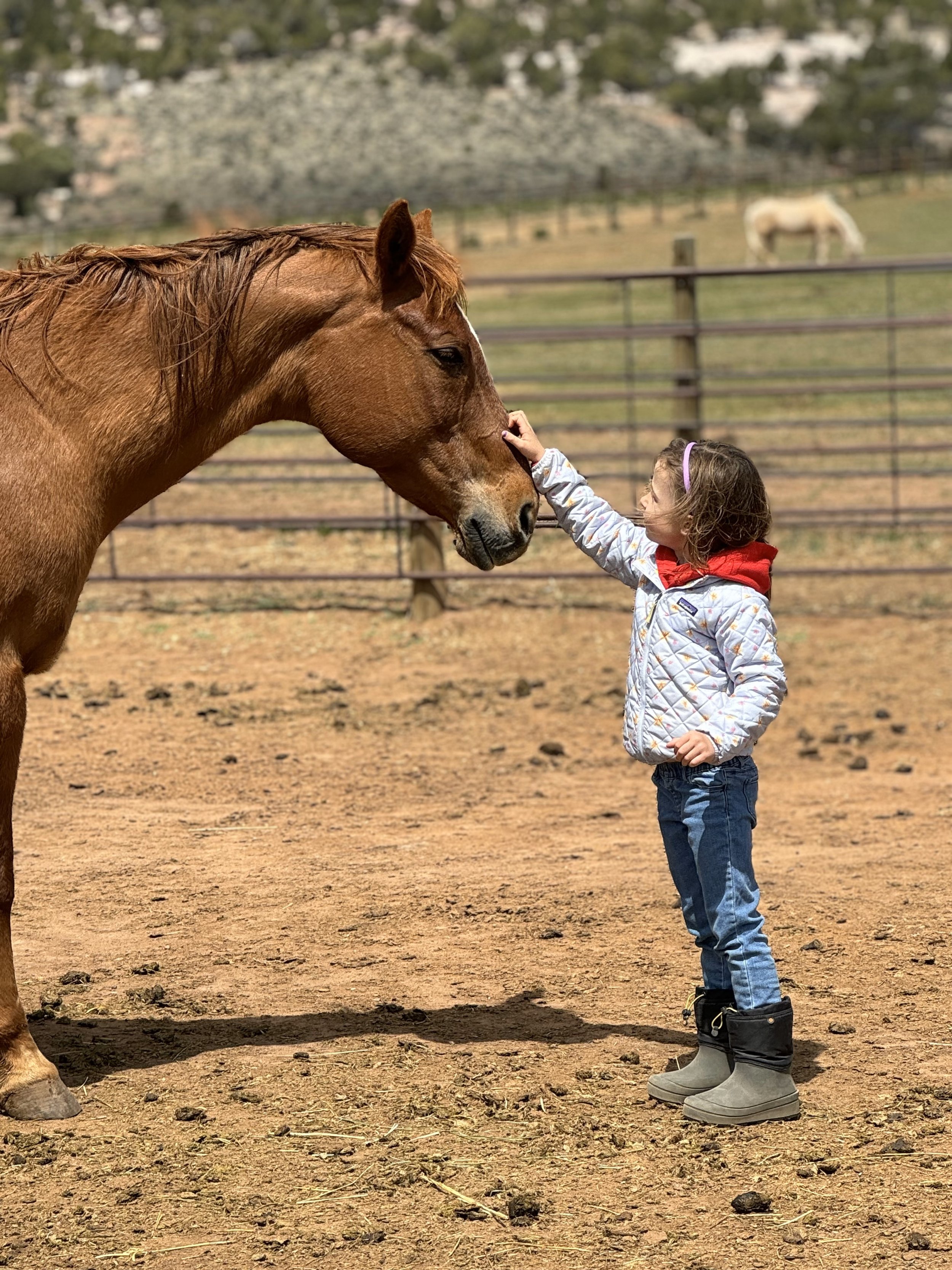 Fall Break Horse Day Camps!