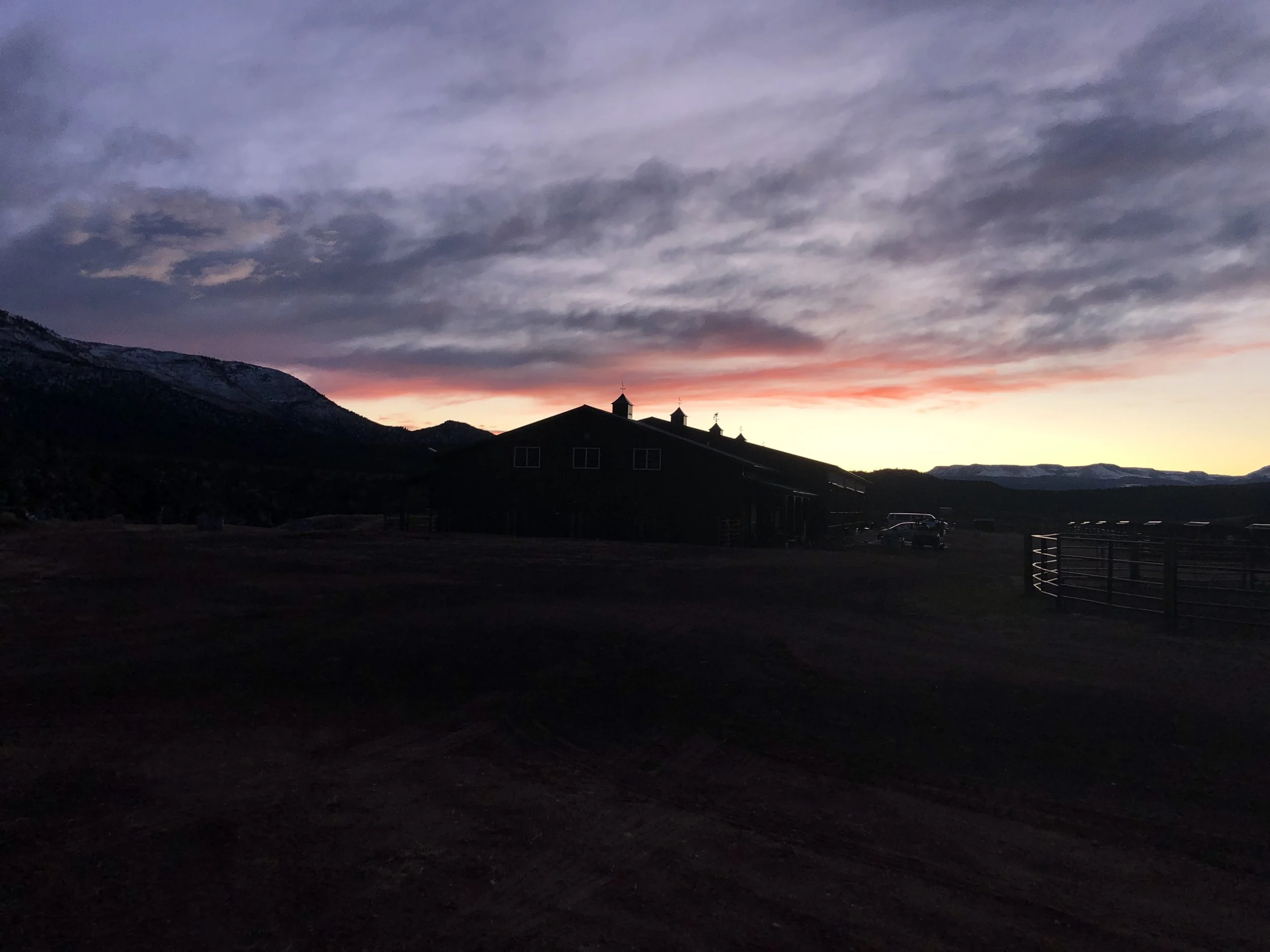 November Newsletter