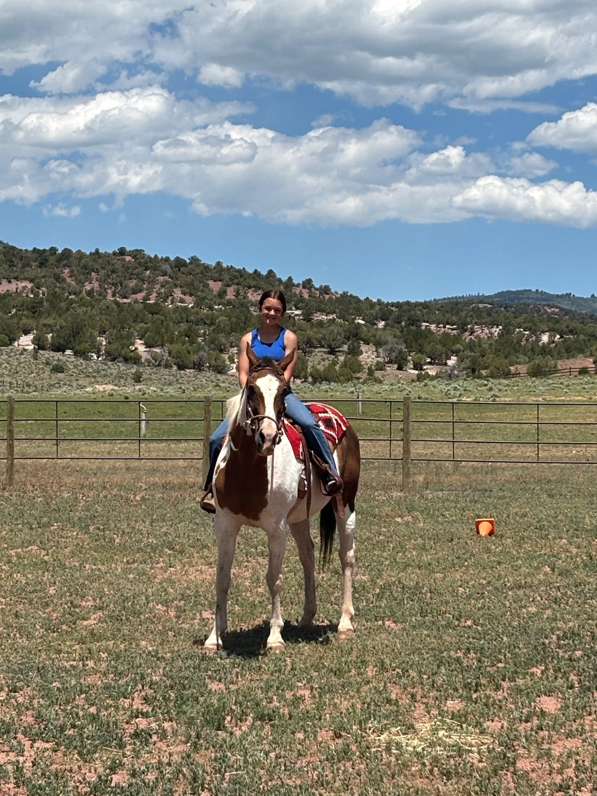 June Newsletter 
