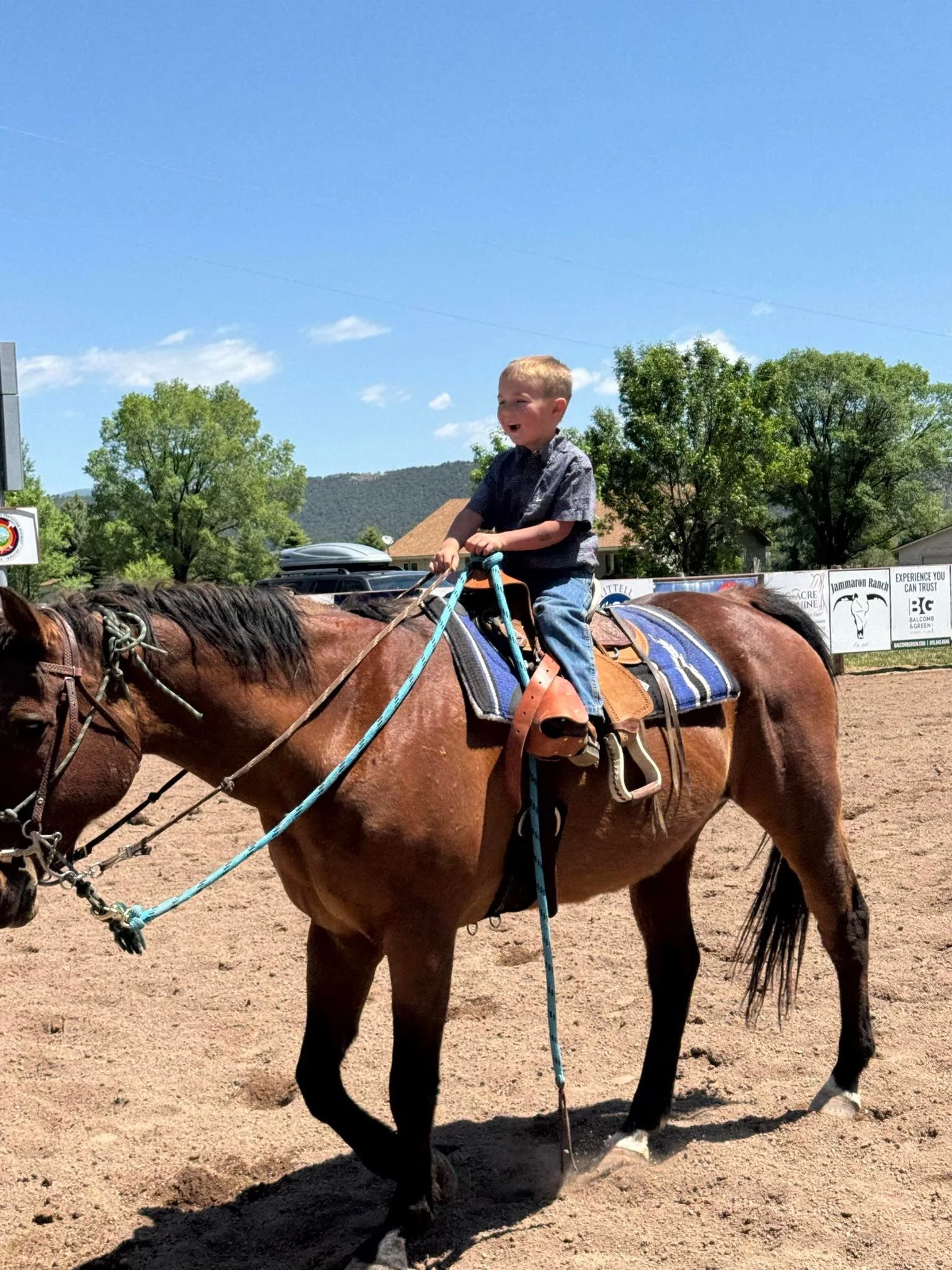 Adoptive Home Series: Little Bay 2024