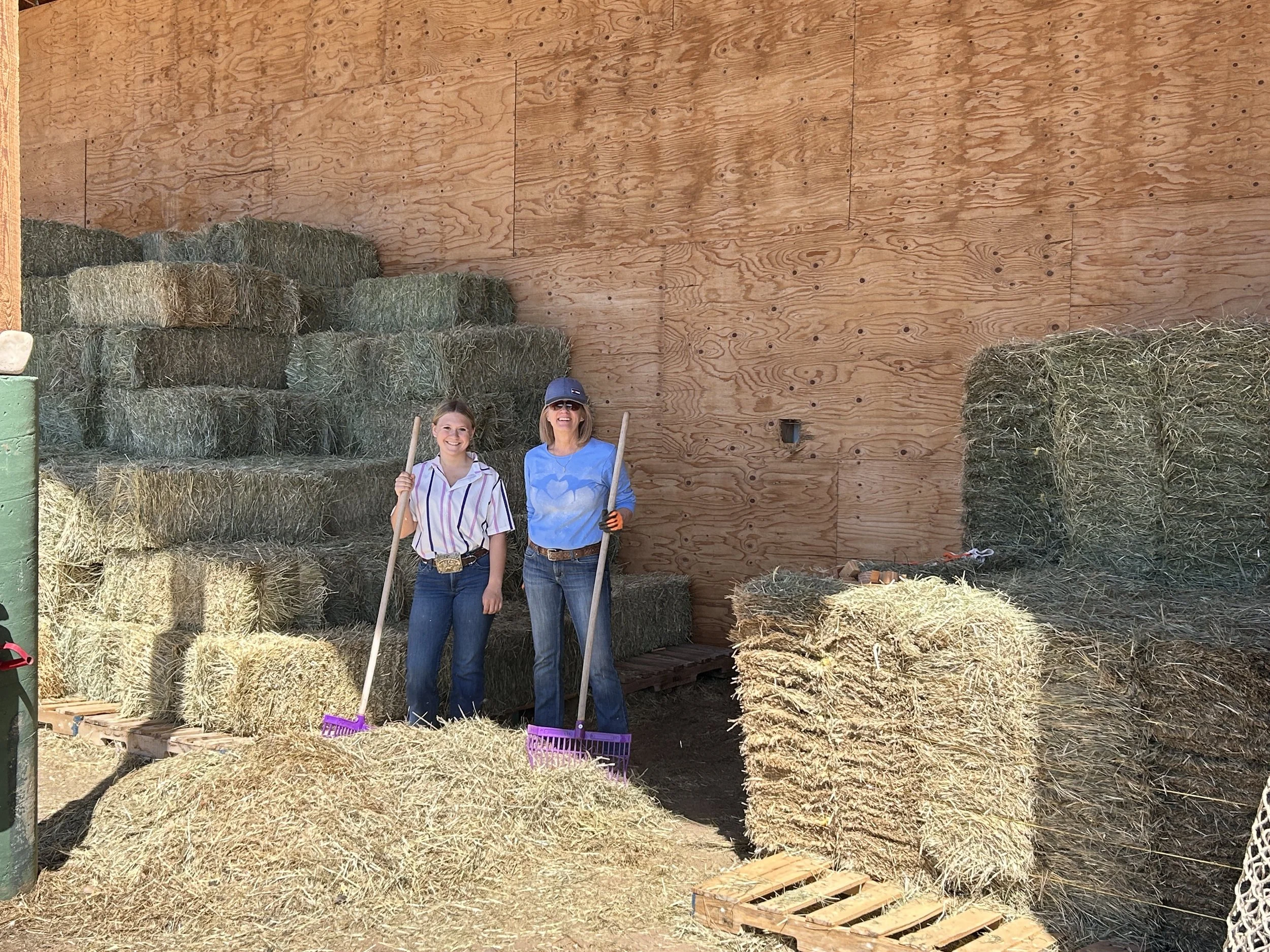 Community Volunteer Day &amp; Volunteer Training!