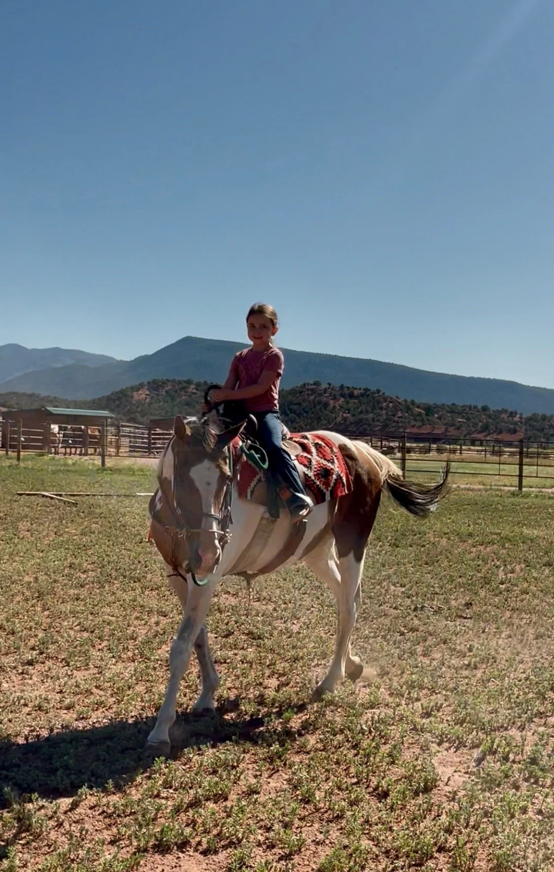 Newsletter July 2025