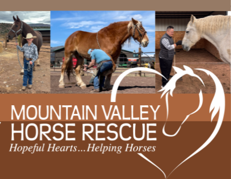 Gratitude from the herd...