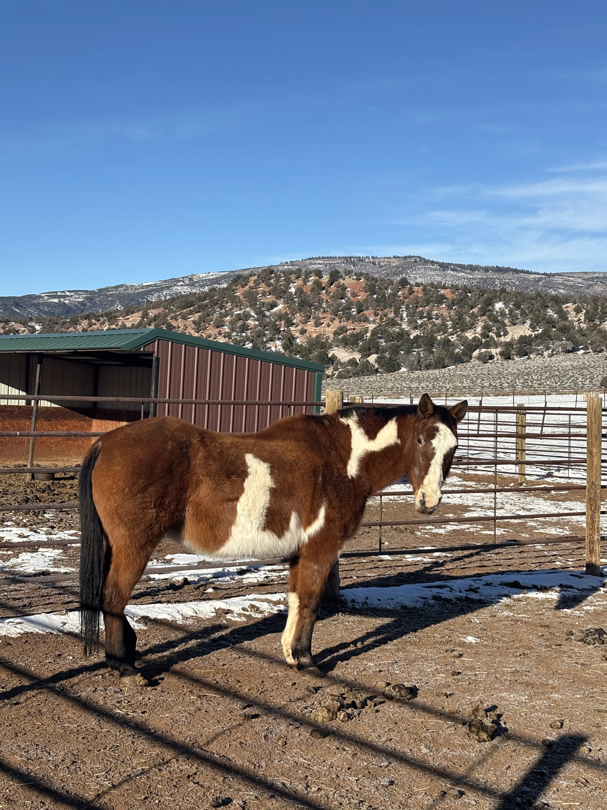 Community Volunteer Day &amp; Volunteer Training! 