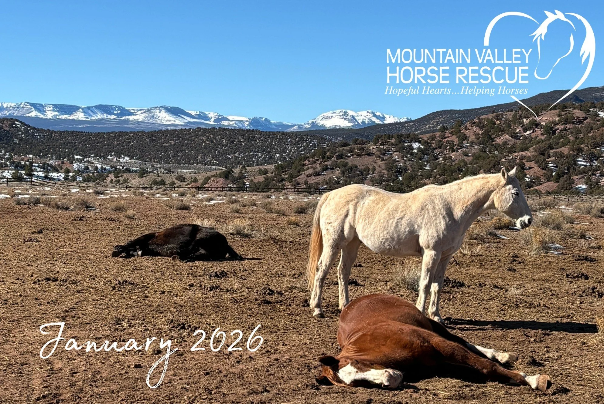 January 2026 Newsletter