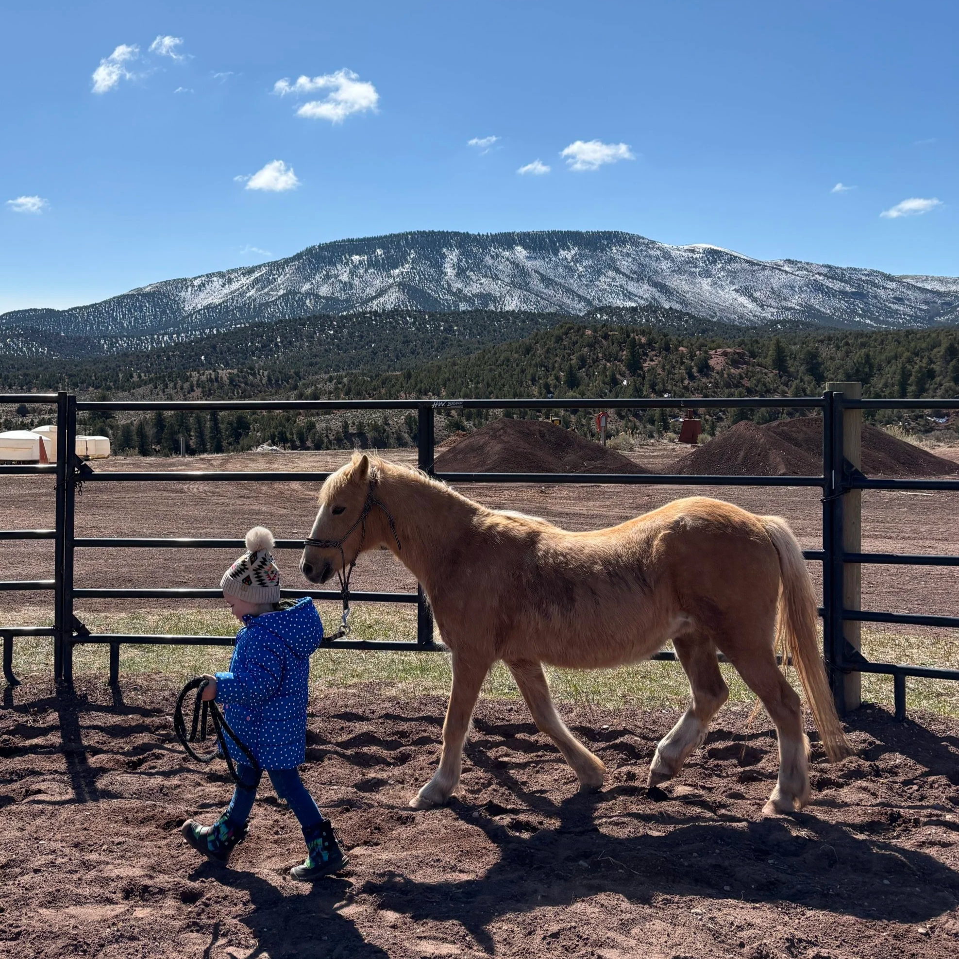 Mini Horse Heroes 2026