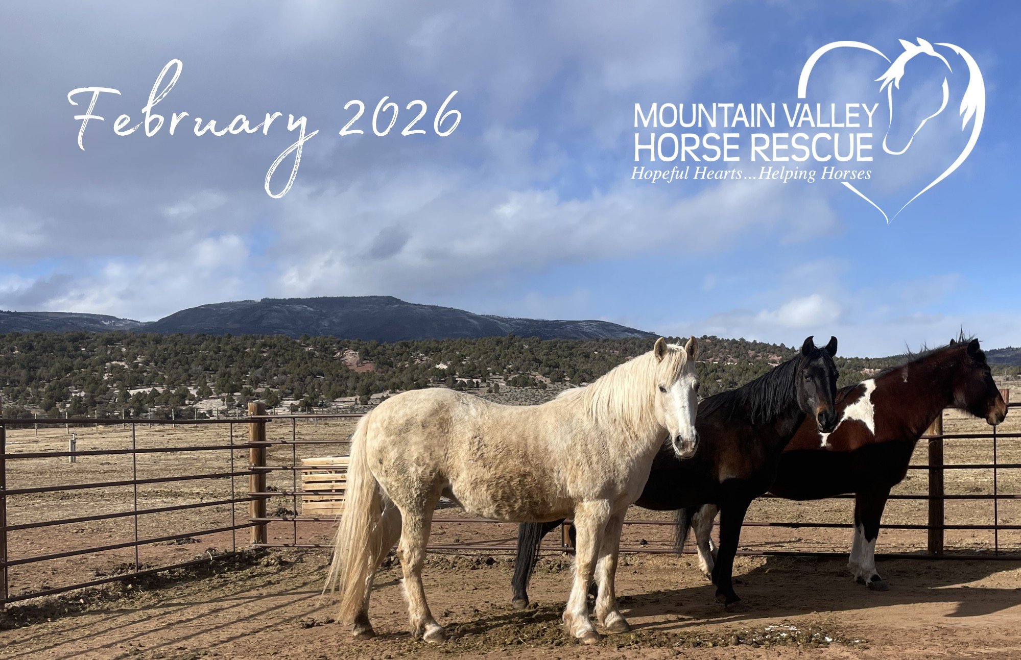 February 2026 Newsletter