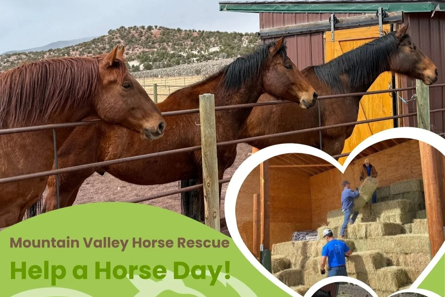 Help a Horse Day ~ Spring Fling