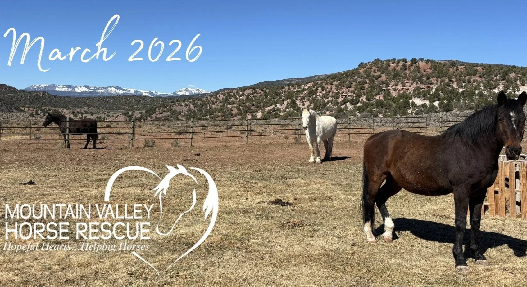 March 2026 Newsletter