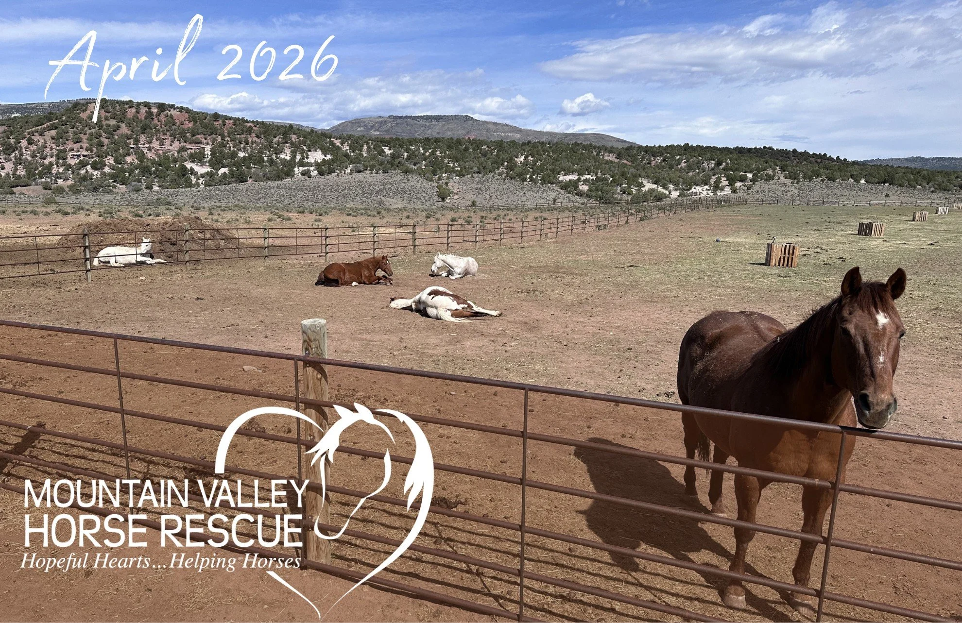 April 2026 Newsletter 