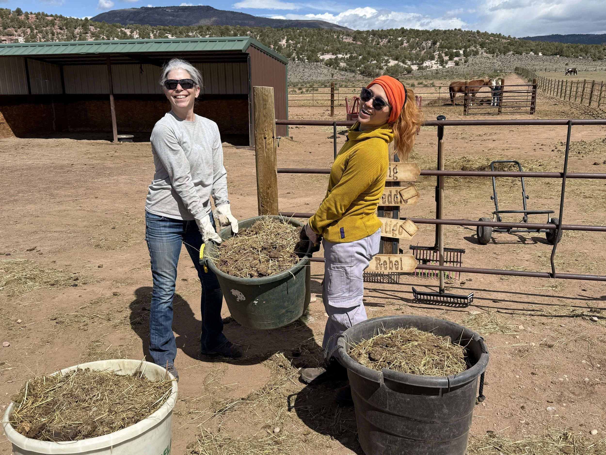 Community Volunteer Day &amp; Volunteer Training! 