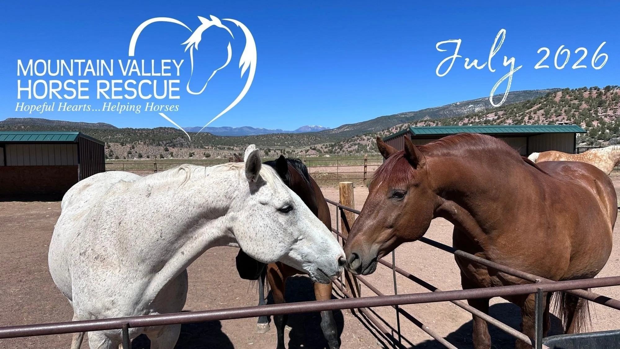 July Newsletter