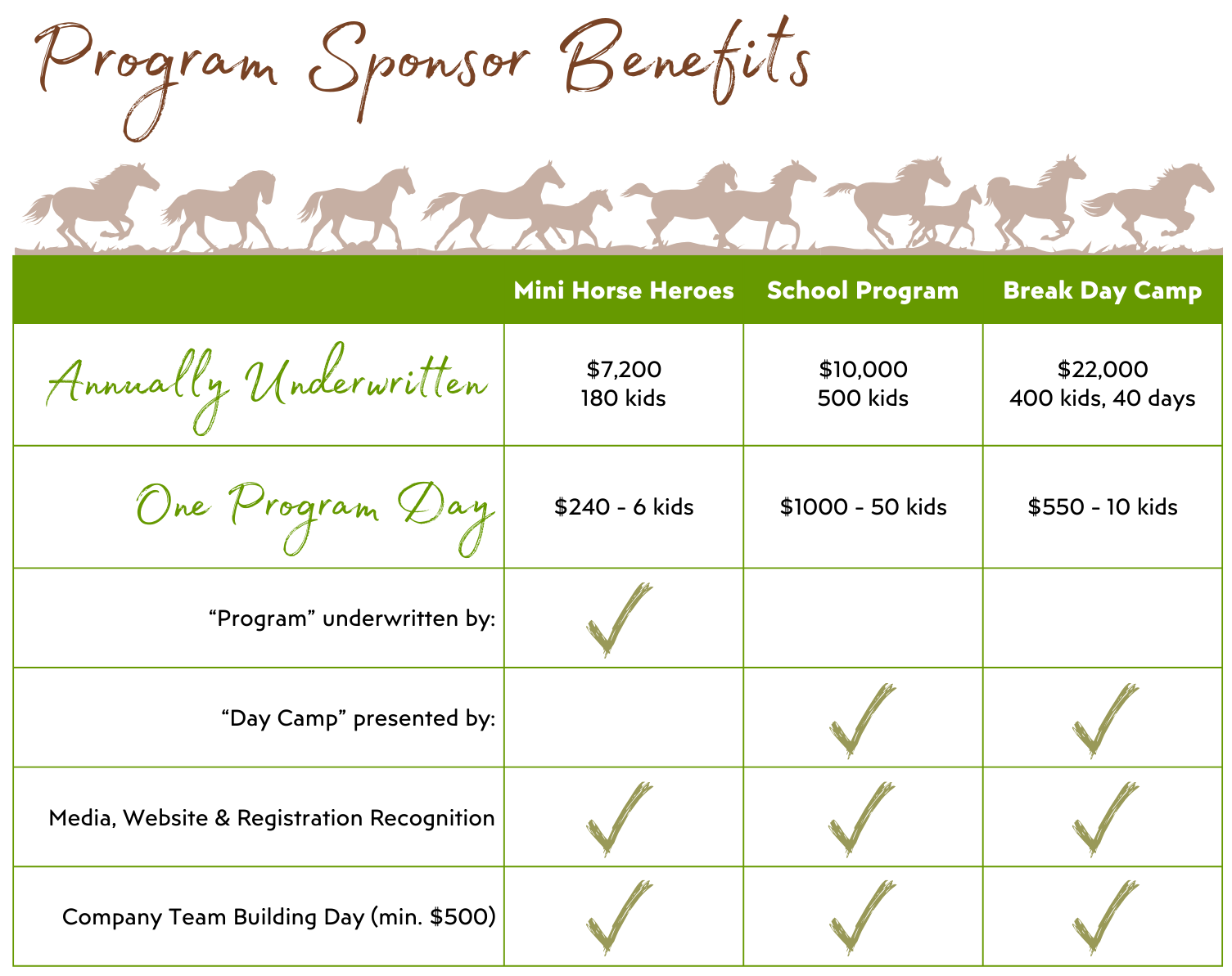 Community Program Sponsorship — Mountain Valley Horse Rescue
