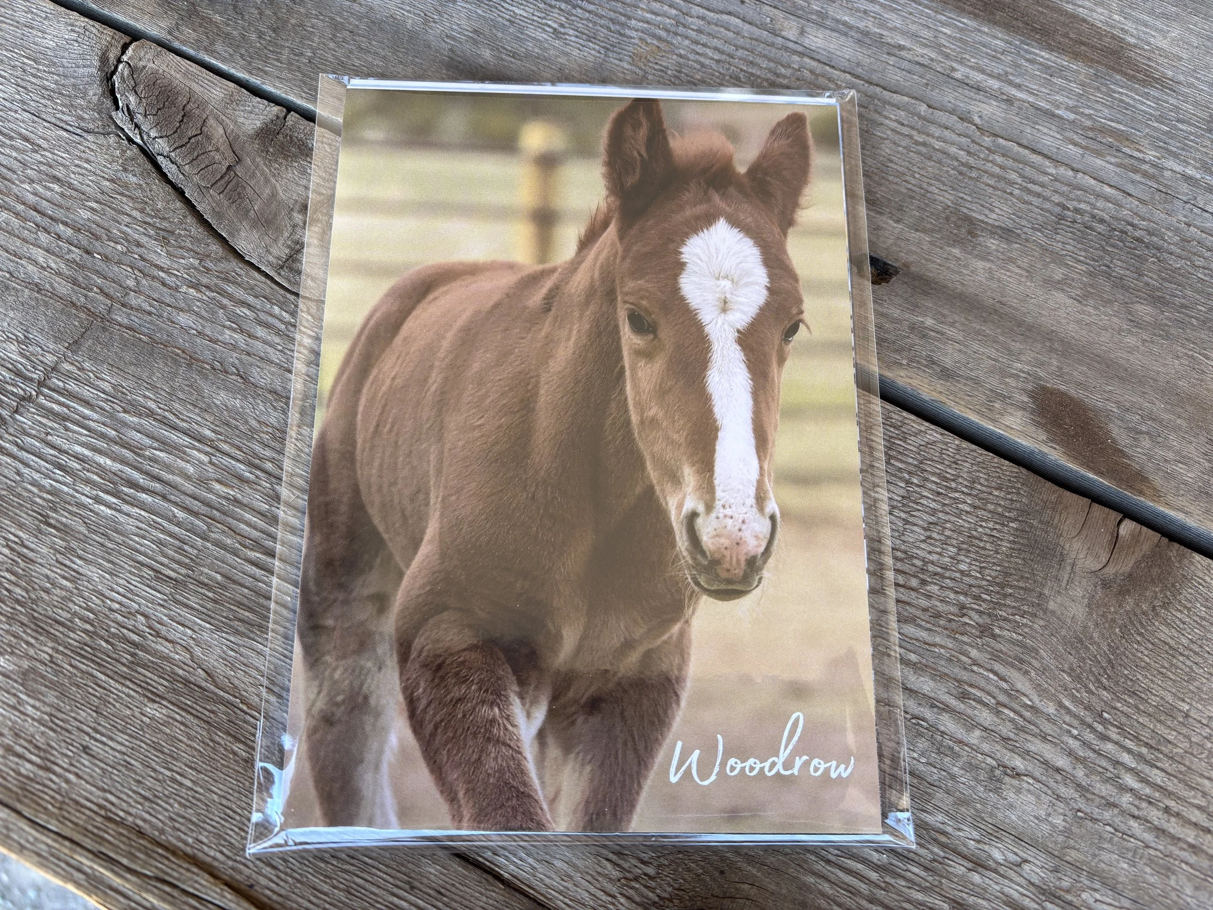 20th Anniversary Post Cards - Set of 12