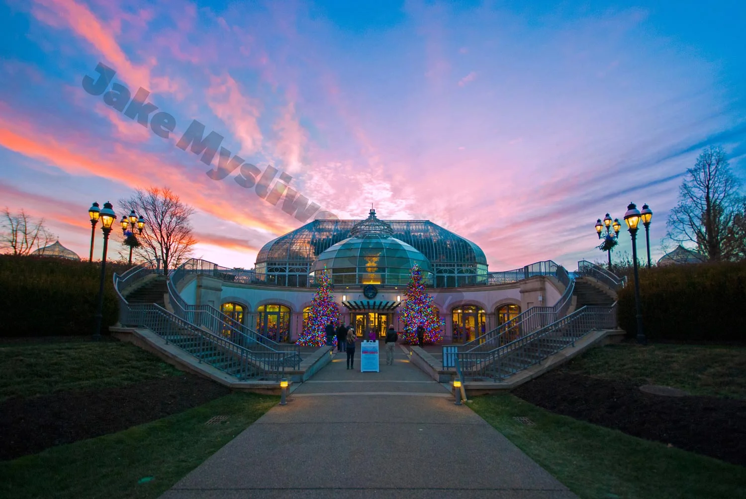 Phipps+(1).jpg