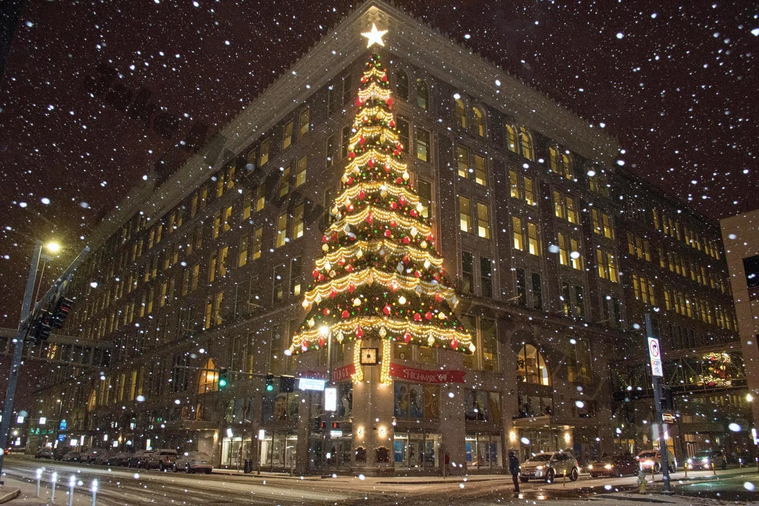 Snowtree.jpg