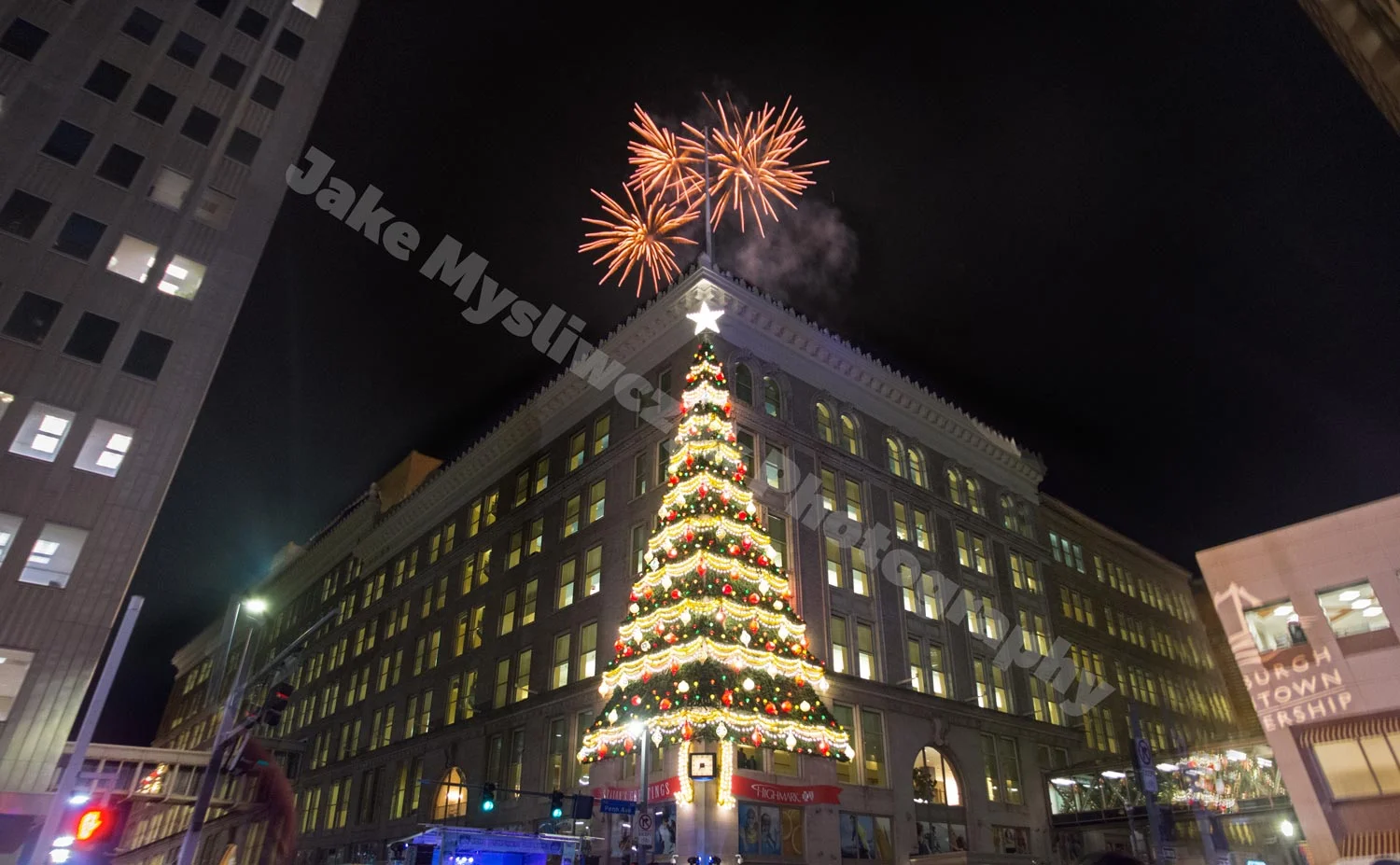 tree.jpg