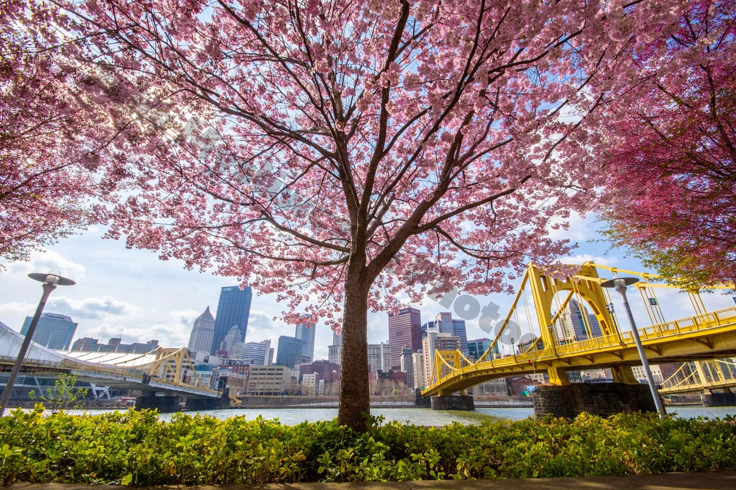 2019Spring-9test2.jpg