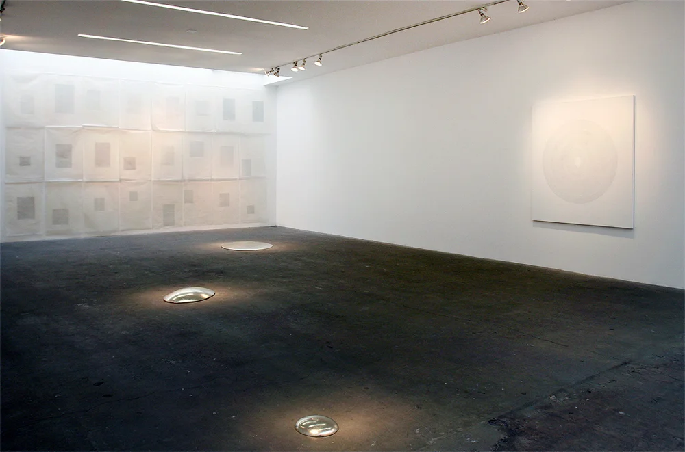 Drawings and Sculpture by Nancy Riegelman