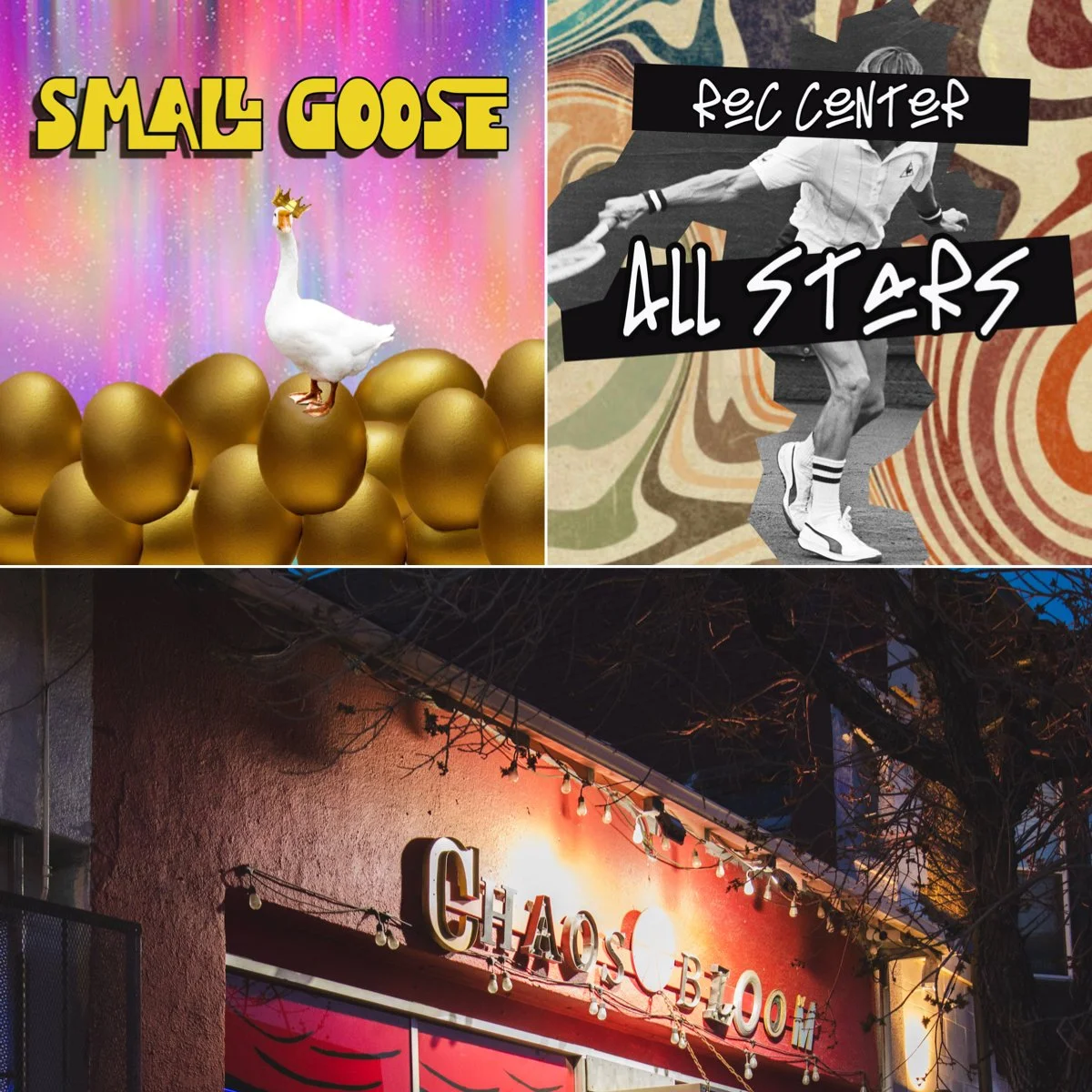 8PM Improv House Team Night Small Goose & Rec Center All Stars