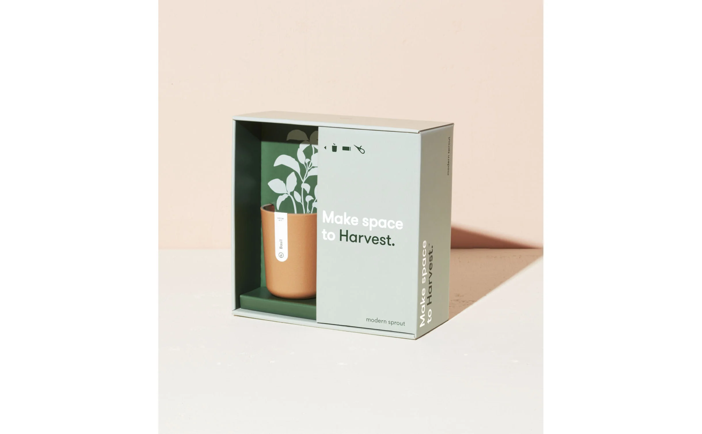 Pizza Garden Seed Ball Kit — M Collection Home