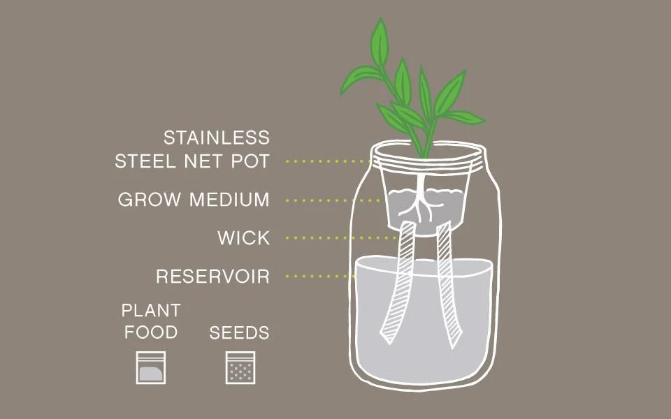 GardenJarDiagram - M Collection.jpg