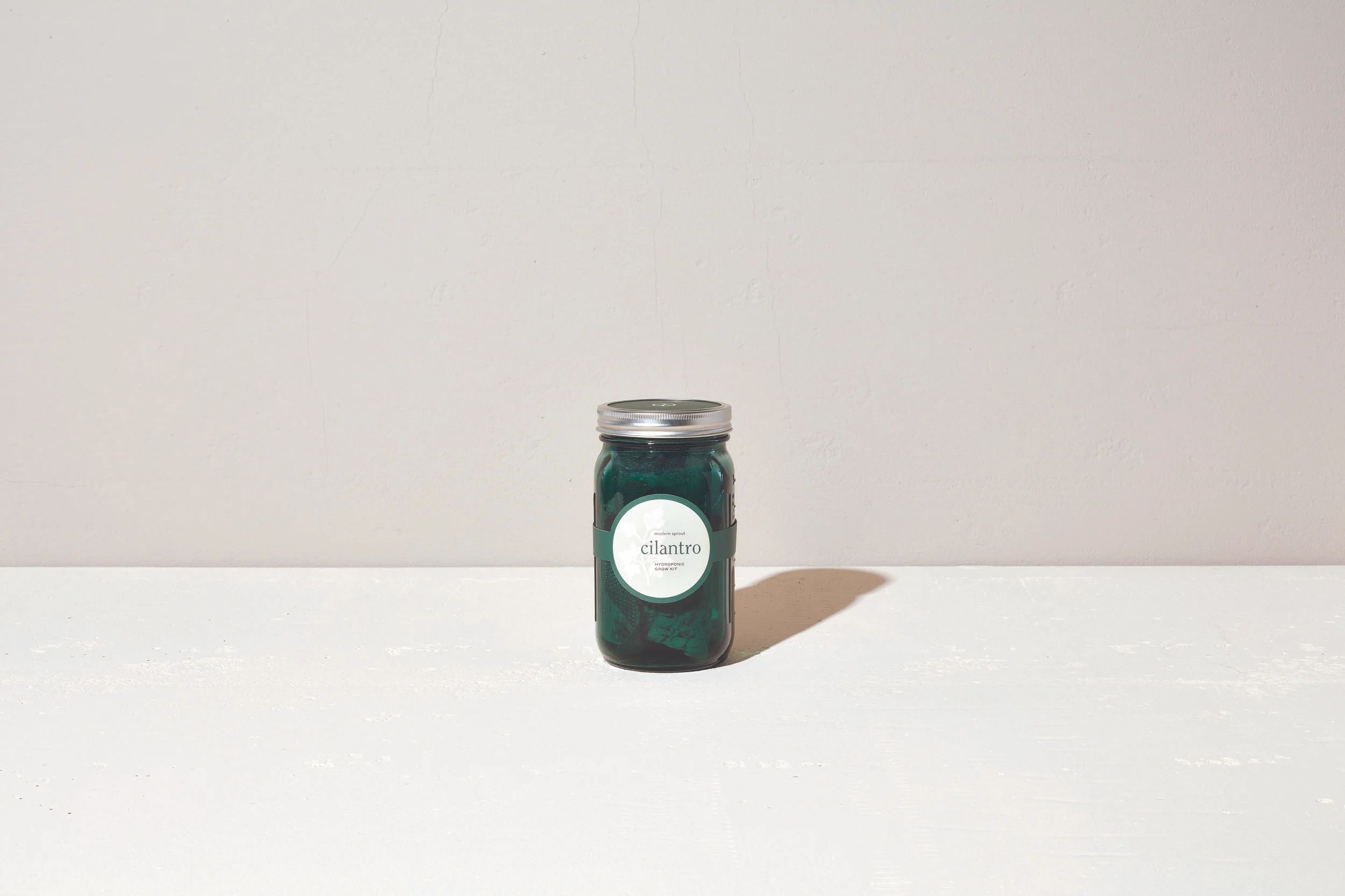 Cliantro Garden Jar - M Collection.jpg