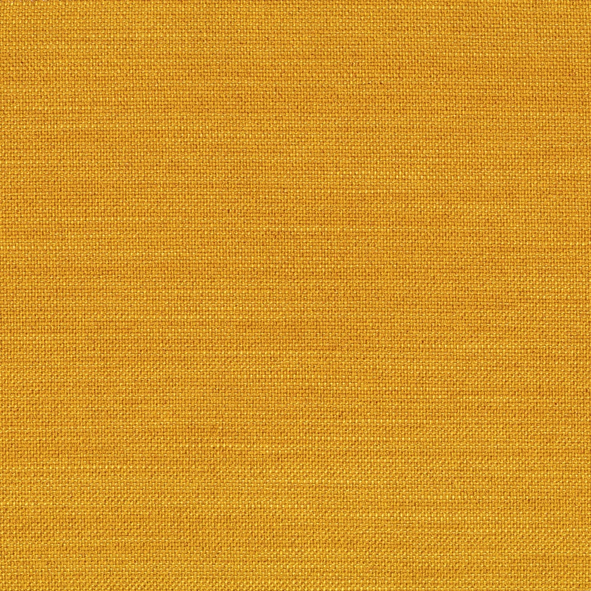 507_ELEGANCE_BURNED_CURRY.jpg