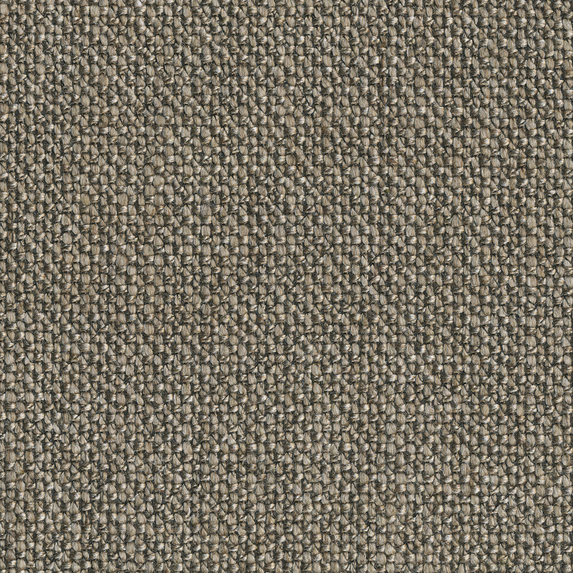 578-KENYA-TAUPE.jpg