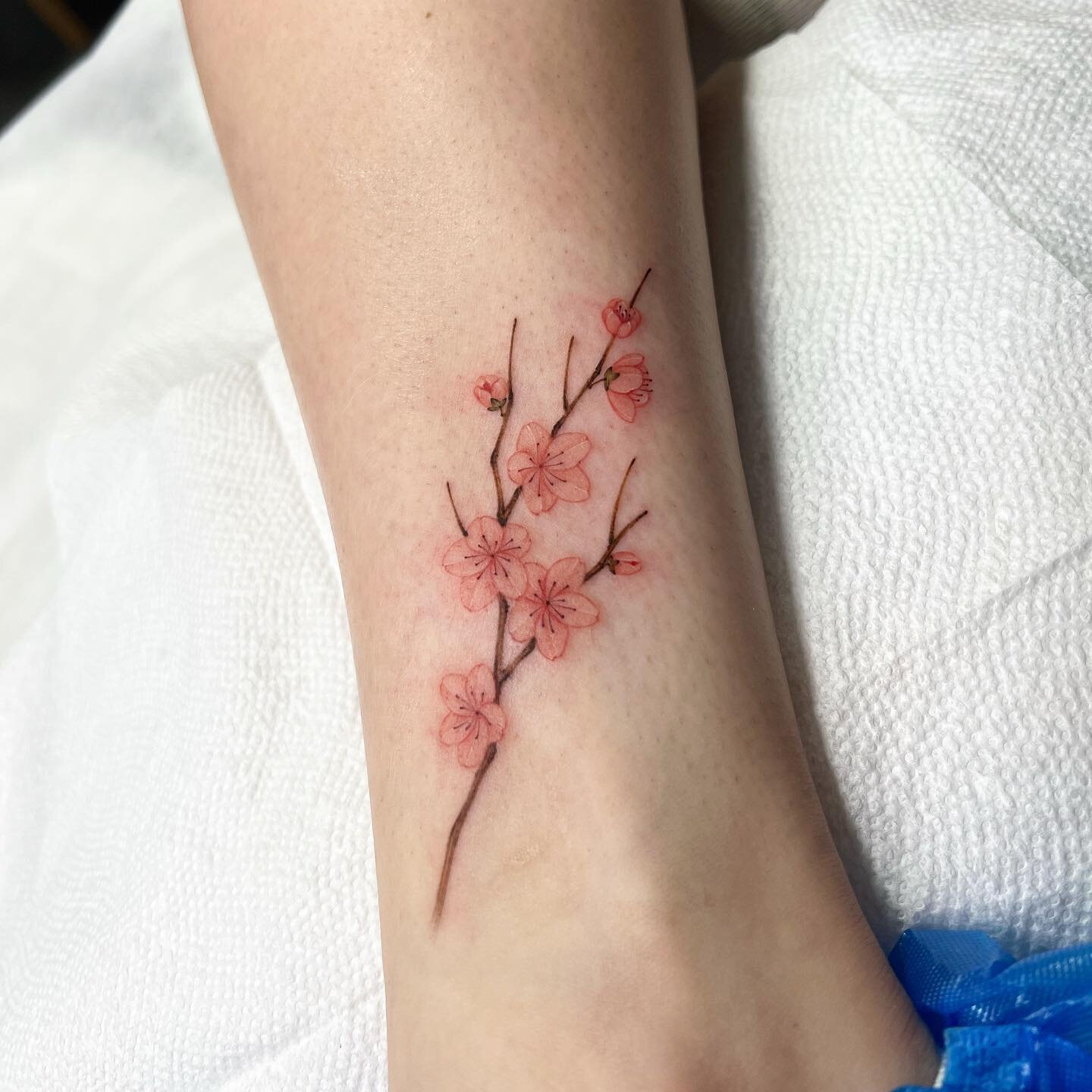 Cherry blossoms in a perfect season done by @jingstattoo 
#floraltattoo #flowers #tattoo #tattoos #ankletattpo #cherryblossoms #nyctattoo #nyctattooartist #finelinetattoo