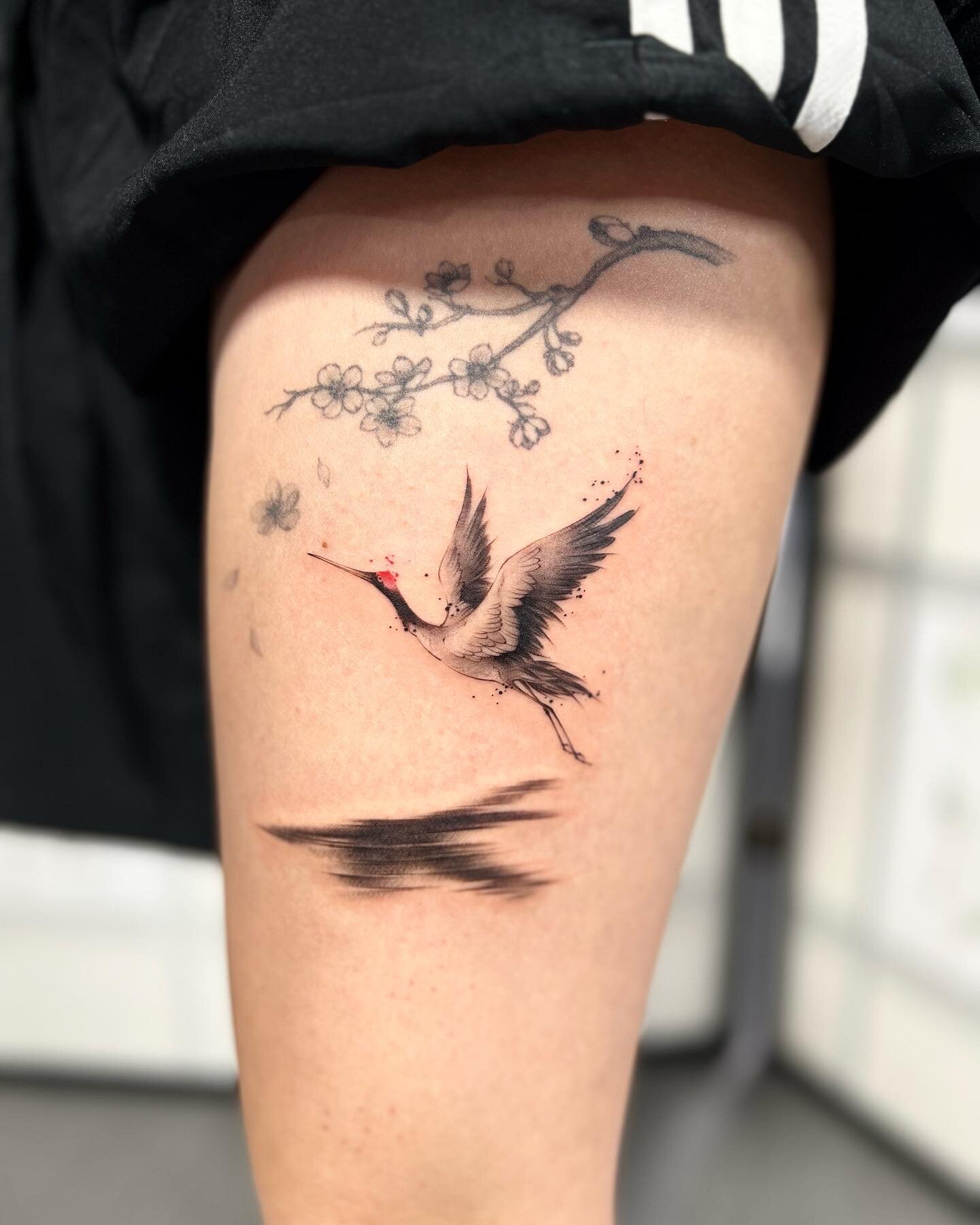 By @jingstattoo 
She has been having some crane inquiries recently, and she loves to do more!!! 

#cranetattoo #crane #fineline #brush #brushstyle #watercolor #brushtattoo #nyctattoo #nyctattooartist #femaletattooartist