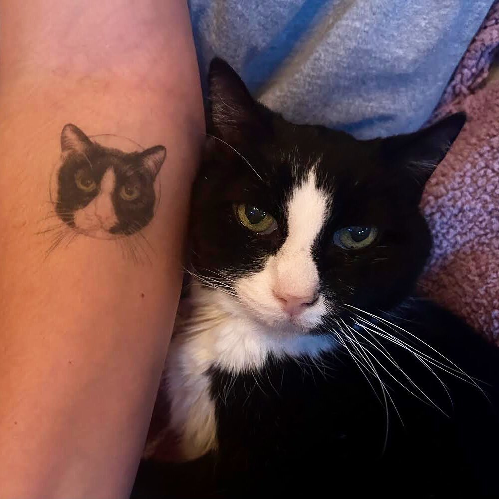 Client sent me this email today with her self taken photo of the tattoo I did a year ago with her cat next to it. His name is Cooper, and he celebrated 20 years in April last year, and he passed away in July. I just wanted to post this so he has a re