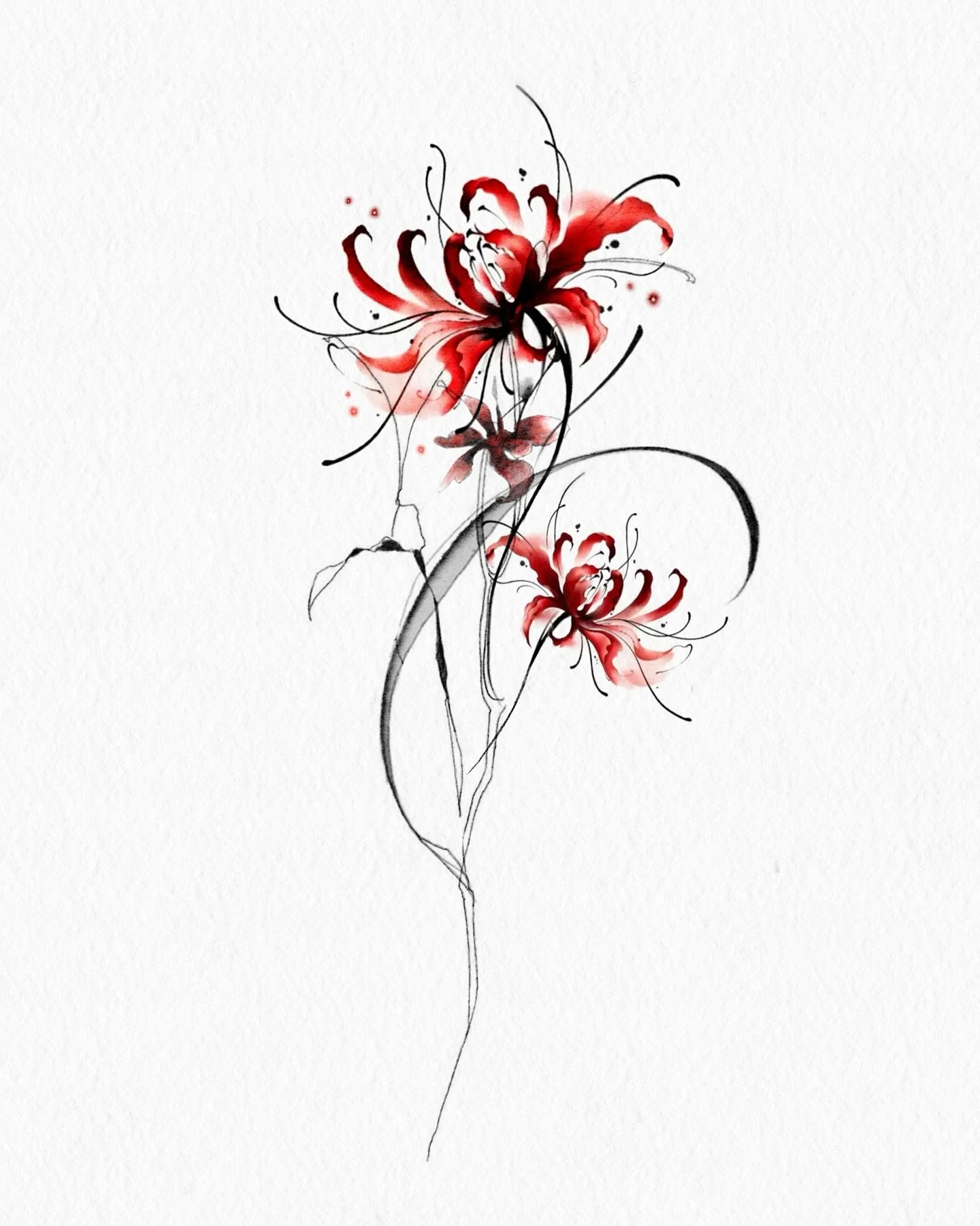 Available

Spider Lily with brush strokes 🥀

#spiderlily #flowertattoo #floraltattoos #redtattoo #brooklyntattoo #nyctattoo