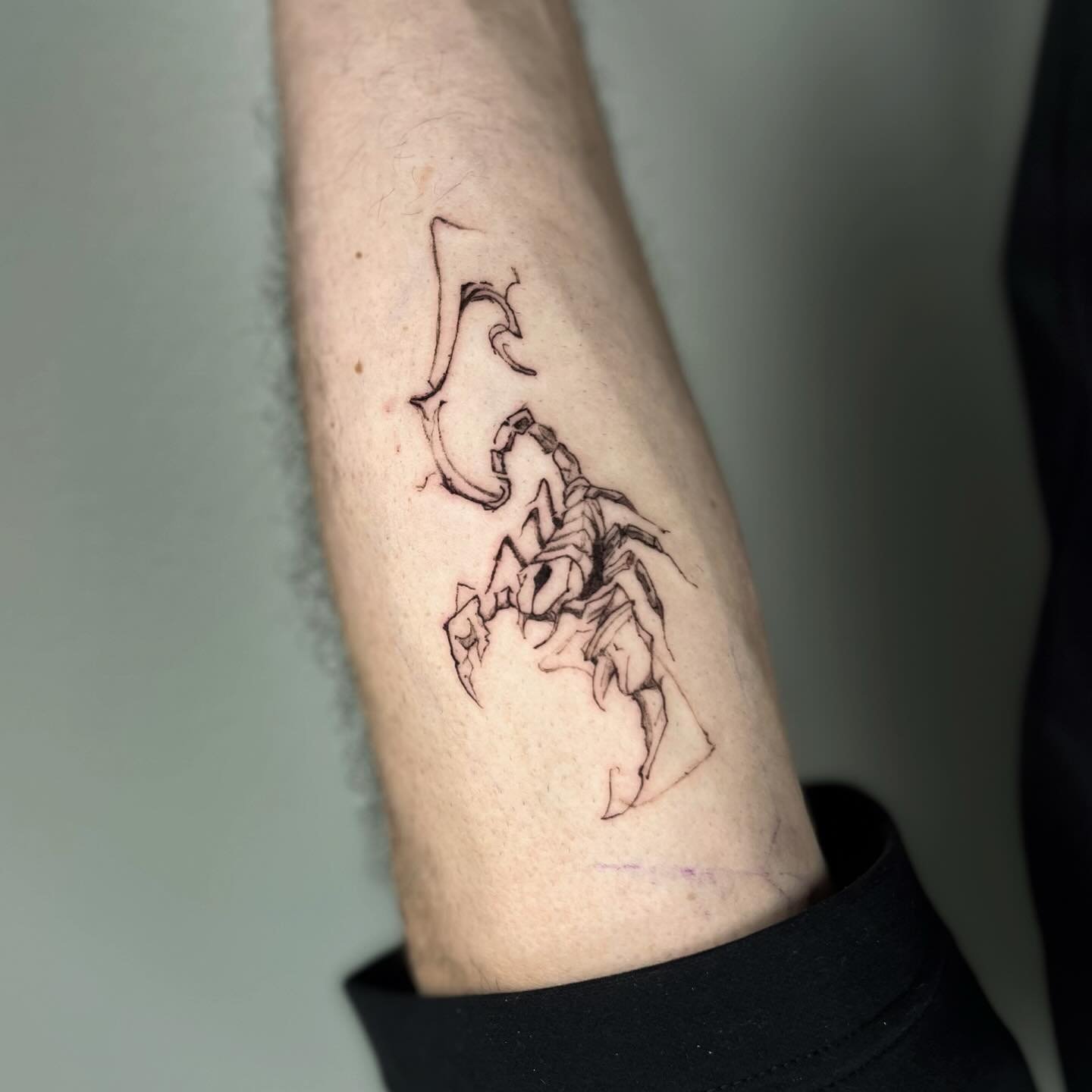Scorpion from flash